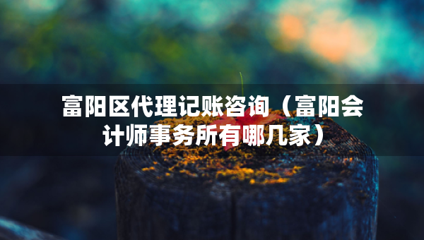 富陽區(qū)代理記賬咨詢（富陽會計師事務(wù)所有哪幾家）