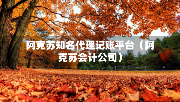 阿克蘇知名代理記賬平臺(tái)（阿克蘇會(huì)計(jì)公司）