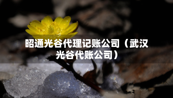 昭通光谷代理記賬公司（武漢光谷代賬公司）