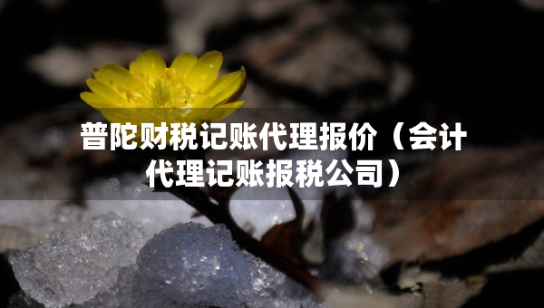 普陀財(cái)稅記賬代理報(bào)價(jià)（會(huì)計(jì)代理記賬報(bào)稅公司）