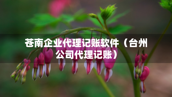 蒼南企業(yè)代理記賬軟件（臺(tái)州公司代理記賬）