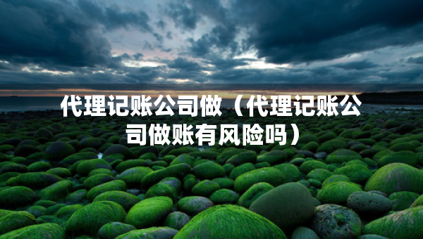 代理記賬公司做（代理記賬公司做賬有風(fēng)險嗎）