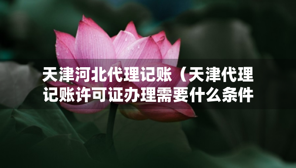 天津河北代理記賬（天津代理記賬許可證辦理需要什么條件）