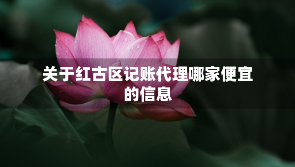 關(guān)于紅古區(qū)記賬代理哪家便宜的信息