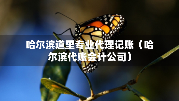 哈爾濱道里專業(yè)代理記賬（哈爾濱代賬會(huì)計(jì)公司）