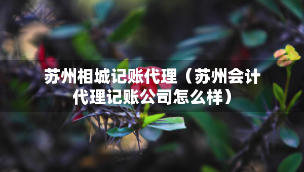 蘇州相城記賬代理（蘇州會(huì)計(jì)代理記賬公司怎么樣）