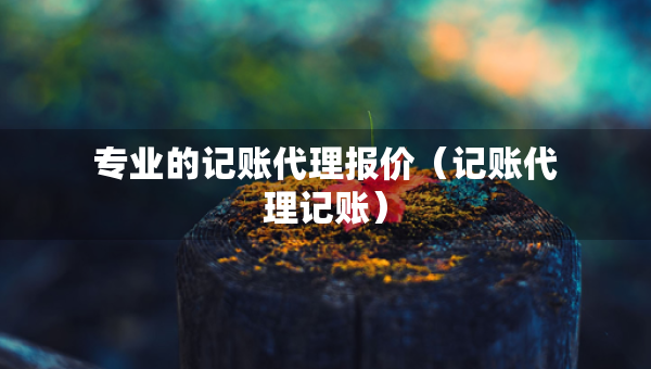 專業(yè)的記賬代理報價（記賬代理記賬）