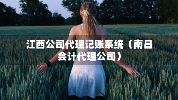 江西公司代理記賬系統(tǒng)（南昌會計代理公司）