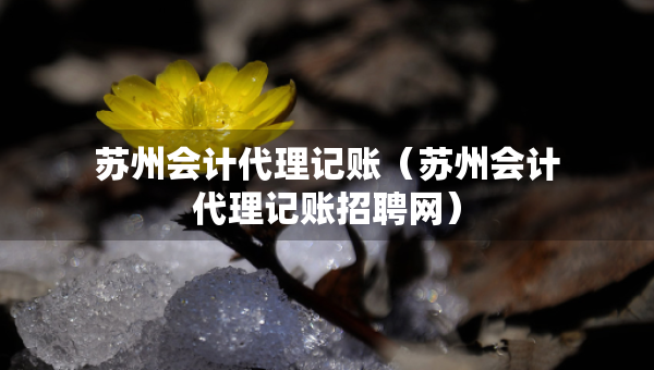 蘇州會計代理記賬（蘇州會計代理記賬招聘網）