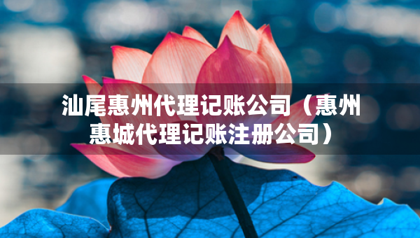 汕尾惠州代理記賬公司（惠州惠城代理記賬注冊公司）