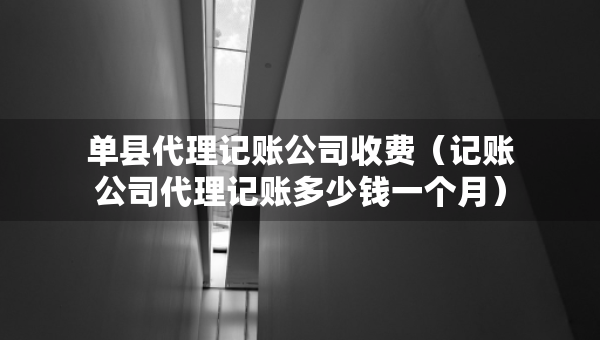 單縣代理記賬公司收費(fèi)（記賬公司代理記賬多少錢一個(gè)月）