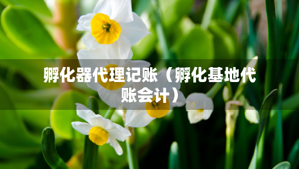 孵化器代理記賬（孵化基地代賬會(huì)計(jì)）
