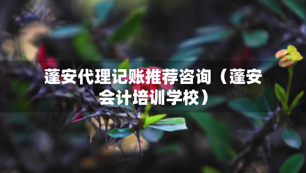 蓬安代理記賬推薦咨詢（蓬安會(huì)計(jì)培訓(xùn)學(xué)校）