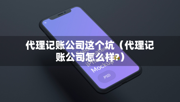 代理記賬公司這個(gè)坑（代理記賬公司怎么樣?）