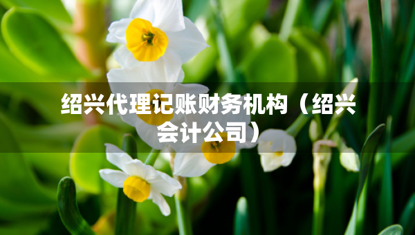 紹興代理記賬財(cái)務(wù)機(jī)構(gòu)（紹興會(huì)計(jì)公司）