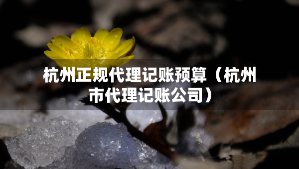 杭州正規(guī)代理記賬預算（杭州市代理記賬公司）