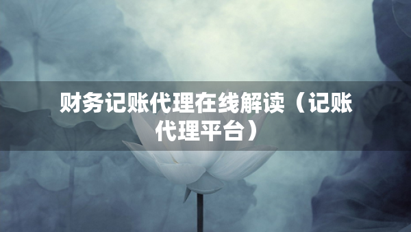財務(wù)記賬代理在線解讀（記賬代理平臺）