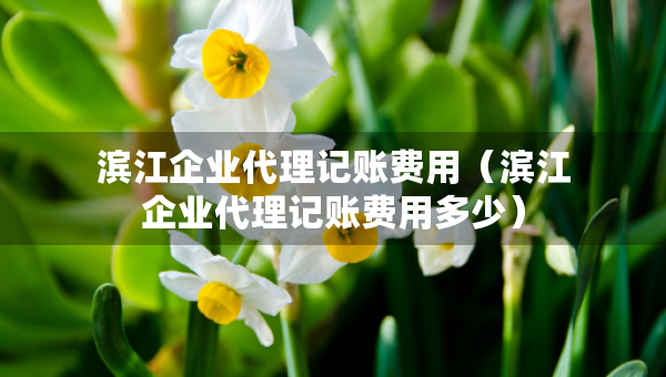 濱江企業(yè)代理記賬費(fèi)用（濱江企業(yè)代理記賬費(fèi)用多少）