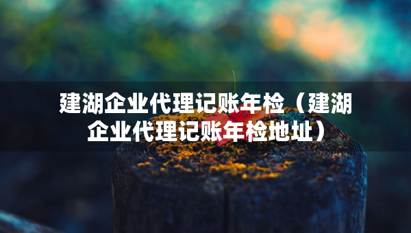 建湖企業(yè)代理記賬年檢（建湖企業(yè)代理記賬年檢地址）