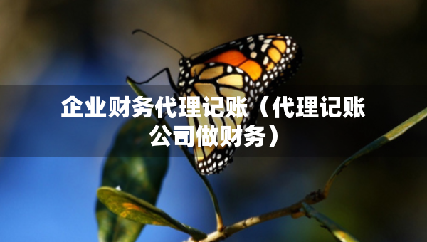 企業(yè)財務(wù)代理記賬（代理記賬公司做財務(wù)）