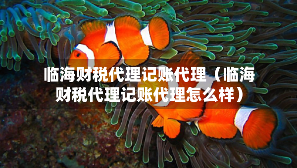 臨海財(cái)稅代理記賬代理（臨海財(cái)稅代理記賬代理怎么樣）