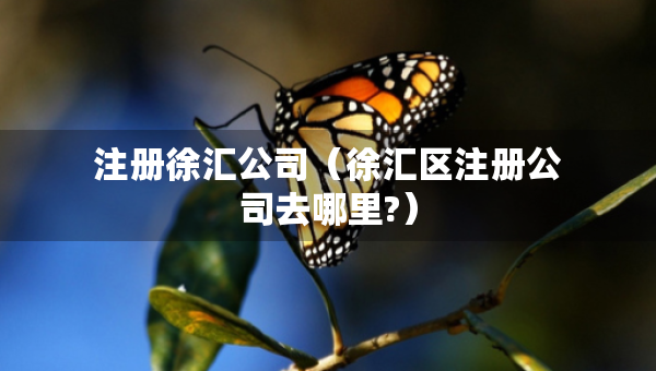 注冊(cè)徐匯公司（徐匯區(qū)注冊(cè)公司去哪里?）