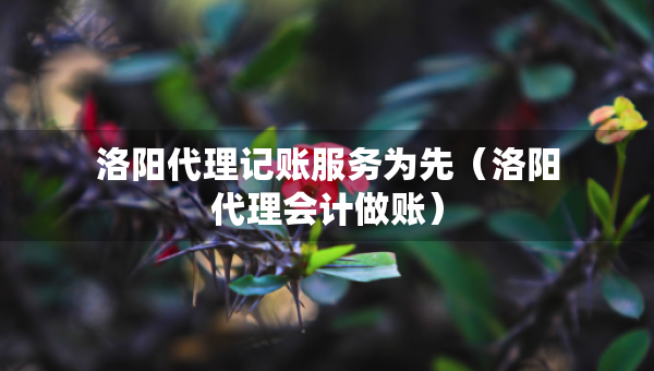 洛陽代理記賬服務為先（洛陽代理會計做賬）