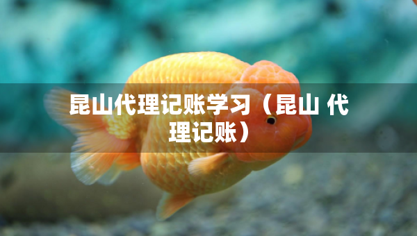 昆山代理記賬學(xué)習(xí)（昆山 代理記賬）