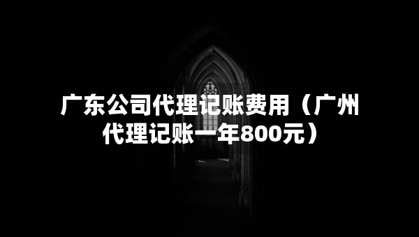 廣東公司代理記賬費(fèi)用（廣州代理記賬一年800元）