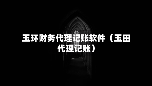 玉環(huán)財(cái)務(wù)代理記賬軟件（玉田代理記賬）