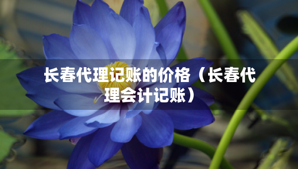 長(zhǎng)春代理記賬的價(jià)格（長(zhǎng)春代理會(huì)計(jì)記賬）