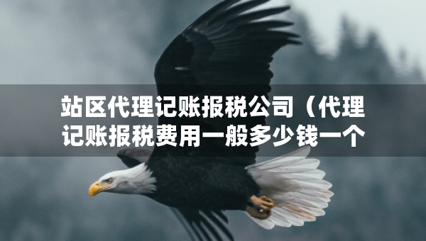 站區(qū)代理記賬報稅公司（代理記賬報稅費(fèi)用一般多少錢一個月）