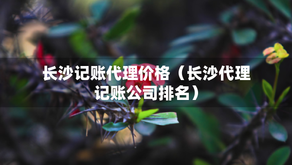 長沙記賬代理價格（長沙代理記賬公司排名）