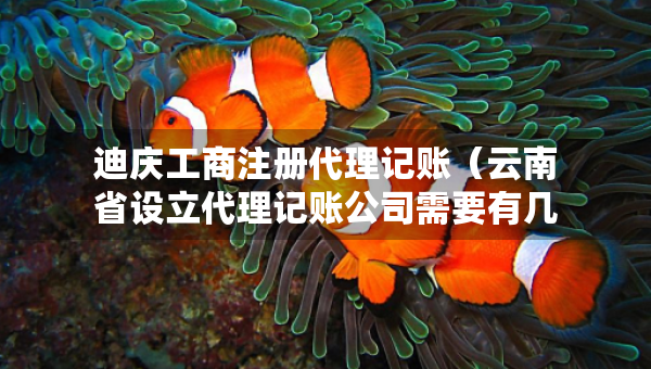 迪慶工商注冊代理記賬（云南省設(shè)立代理記賬公司需要有幾個人）