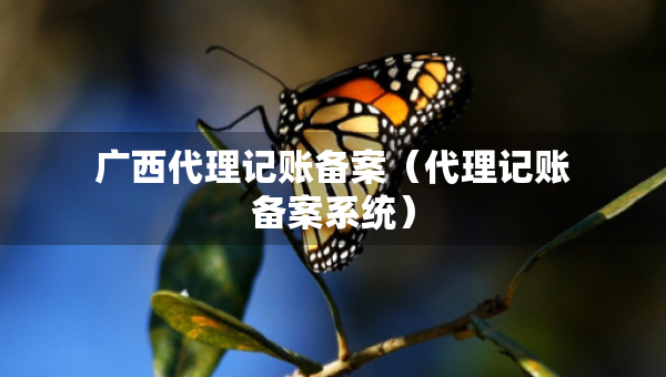 廣西代理記賬備案（代理記賬備案系統(tǒng)）