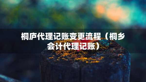 桐廬代理記賬變更流程（桐鄉(xiāng)會計代理記賬）