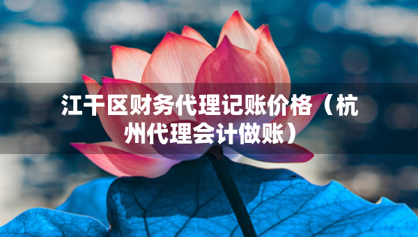 江干區(qū)財務(wù)代理記賬價格（杭州代理會計做賬）