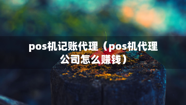 pos機(jī)記賬代理（pos機(jī)代理公司怎么賺錢）