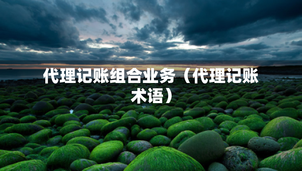 代理記賬組合業(yè)務(wù)（代理記賬術(shù)語(yǔ)）