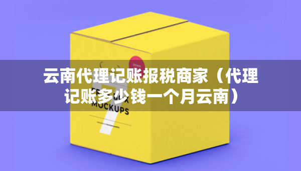 云南代理記賬報(bào)稅商家（代理記賬多少錢一個(gè)月云南）