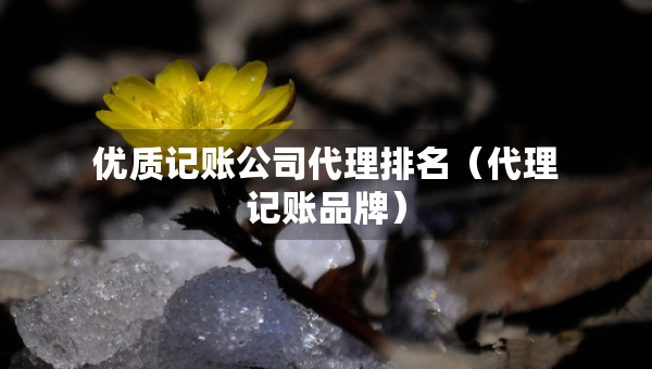 優(yōu)質(zhì)記賬公司代理排名（代理記賬品牌）