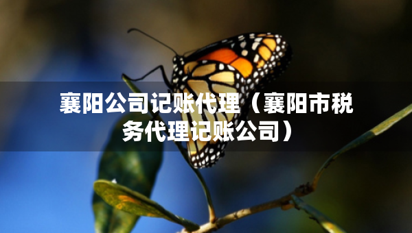 襄陽公司記賬代理（襄陽市稅務(wù)代理記賬公司）