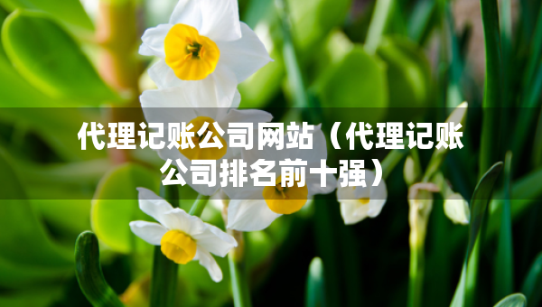 代理記賬公司網(wǎng)站（代理記賬公司排名前十強(qiáng)）