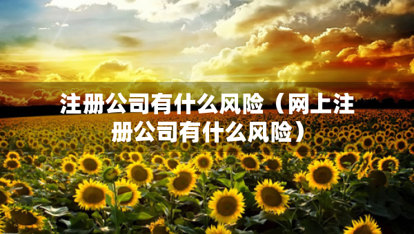 注冊公司有什么風(fēng)險（網(wǎng)上注冊公司有什么風(fēng)險）