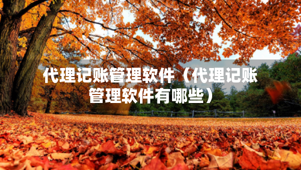 代理記賬管理軟件（代理記賬管理軟件有哪些）