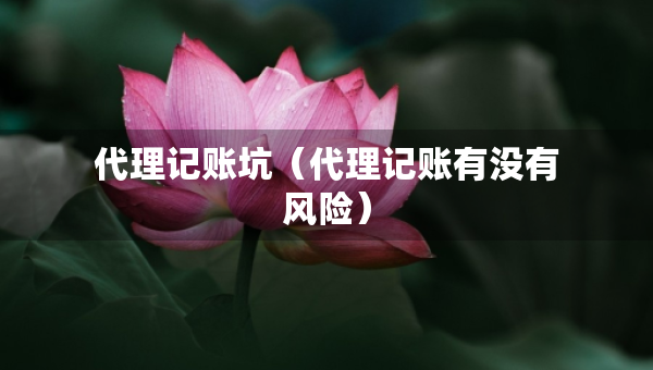 代理記賬坑（代理記賬有沒有風(fēng)險(xiǎn)）