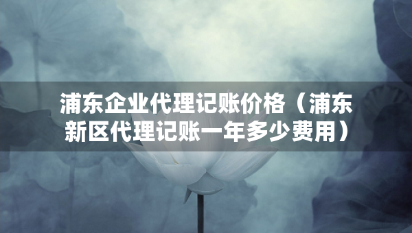 浦東企業(yè)代理記賬價(jià)格（浦東新區(qū)代理記賬一年多少費(fèi)用）