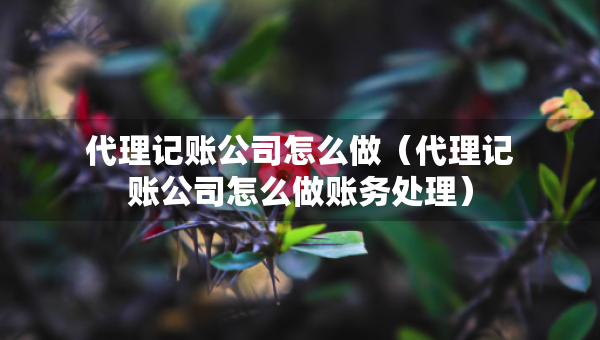 代理記賬公司怎么做（代理記賬公司怎么做賬務處理）