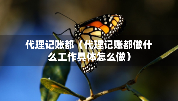 代理記賬都（代理記賬都做什么工作具體怎么做）