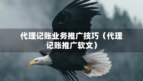 代理記賬業(yè)務(wù)推廣技巧（代理記賬推廣軟文）